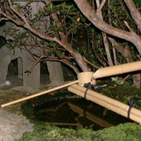 プロフィール写真